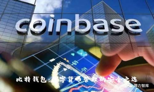 比特钱包：数字货币管理的安全之选