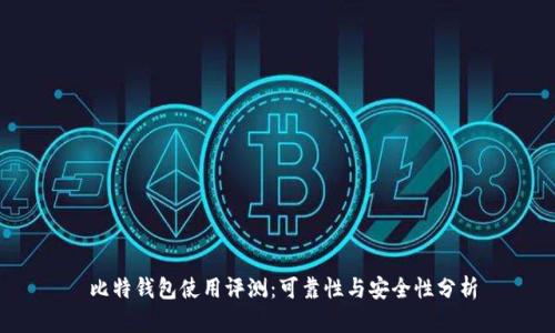  比特钱包使用评测：可靠性与安全性分析