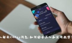 深入解析CGPay钱包：如何安全买入和使用数字货币