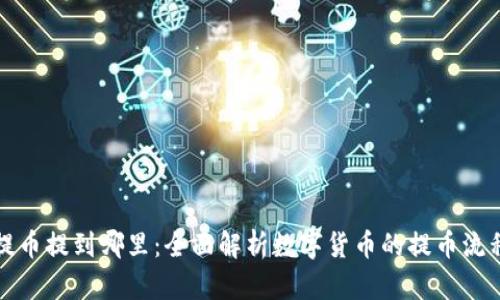 提币提到哪里：全面解析数字货币的提币流程