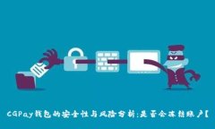 CGPay钱包的安全性与风险分析：是否会冻结账户？