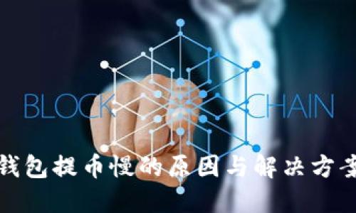 冷链钱包提币慢的原因与解决方案探讨
