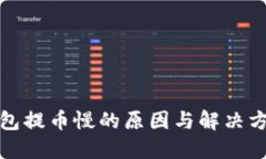 冷链钱包提币慢的原因与解决方案探讨