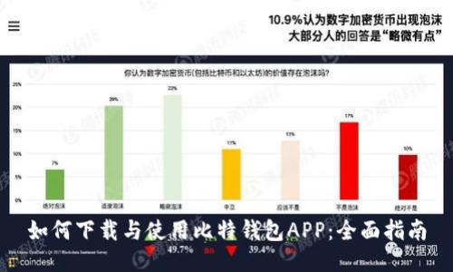 如何下载与使用比特钱包APP：全面指南