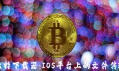探索比特下载器：IOS平台上的文件传输利器