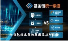 冷钱包被冻结的原因及应对方法