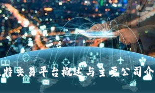 比特交易平台概述与主要公司介绍