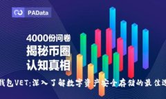 冷钱包VET：深入了解数字资产安全存储的最佳选