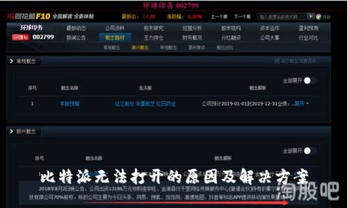 比特派无法打开的原因及解决方案