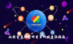 比特交易所官网首页网址查询指南