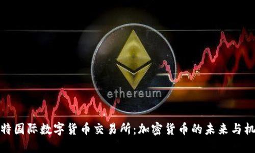 比特国际数字货币交易所：加密货币的未来与机遇