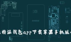  全面解析：比特派钱包app下载苹果手机版的功能
