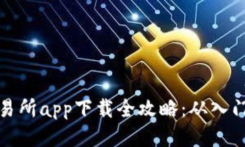 比特交易所app下载全攻略：从入门到精通