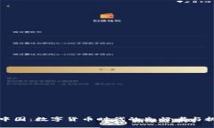 比特中国：数字货币时代的先行者与挑战者