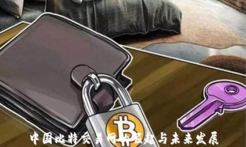 
中国比特交易网的崛起与未来发展