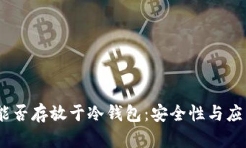 USDT能否存放于冷钱包：安全性与应用解析