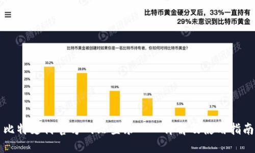 比特支付官方网站登录入口详解及使用指南