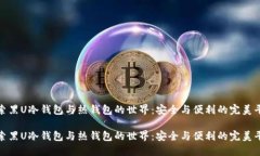 探索黑U冷钱包与热钱包的世界：安全与便利的完