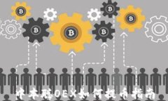 中本聪OEX如何提币指南