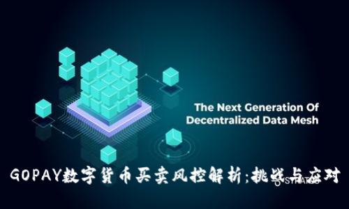 GOPAY数字货币买卖风控解析：挑战与应对