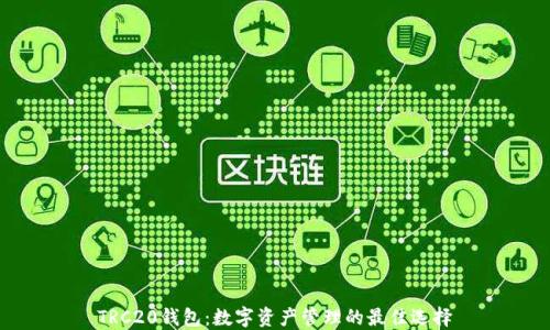 
TRC20钱包：数字资产管理的最佳选择