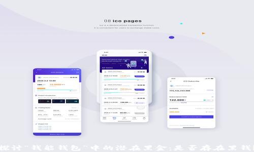 
探讨“钱能钱包”中的潜在黑金：是否存在黑钱？