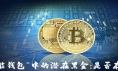 探讨“钱能钱包”中的潜在黑金：是否存在黑钱