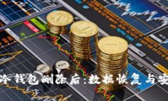 : 区块链冷钱包删除后：数据恢复与安全性分析