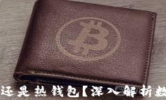 IM钱包是冷钱包还是热钱包？深入解析数字货币存