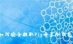 如何安全提取Pig币至冷钱包？