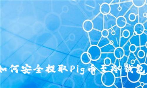 如何安全提取Pig币至冷钱包？