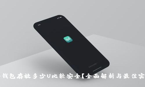 冷钱包存放多少U比较安全？全面解析与最佳实践