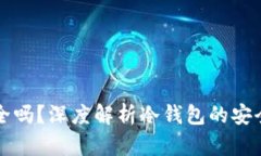 冷钱包绝对安全吗？深度解析冷钱包的安全性及