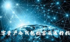 数字资产冷钱包推荐及选择指南
