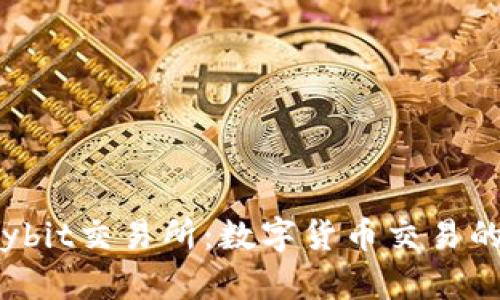  探索Bybit交易所：数字货币交易的新天地