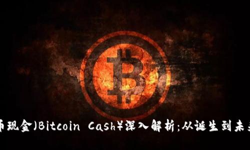 比特币现金（Bitcoin Cash）深入解析：从诞生到未来前景