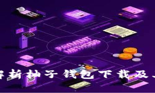 全面解析柚子钱包下载及其优势