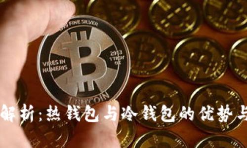 深入解析：热钱包与冷钱包的优势与应用
