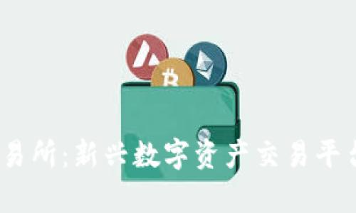  CoinList交易所：新兴数字资产交易平台的全面分析