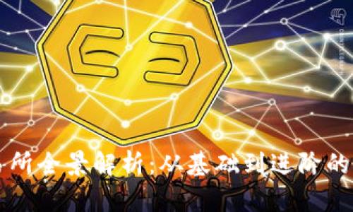 比特交易所全景解析：从基础到进阶的全面指南
