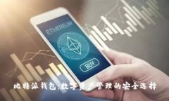 比特派钱包：数字资产管理的安全选择