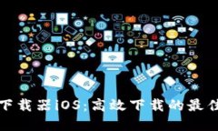 比特下载器iOS：高效下载的最佳选择