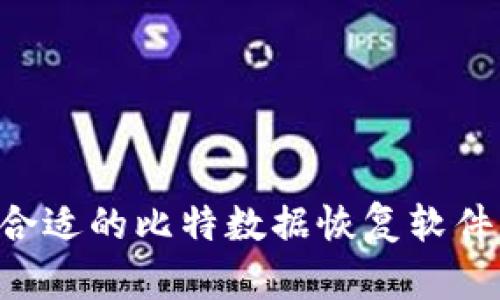 如何选择合适的比特数据恢复软件：全面指南