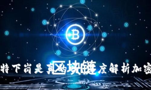 派币登场比特下岗是真的吗？深度解析加密货币的未来