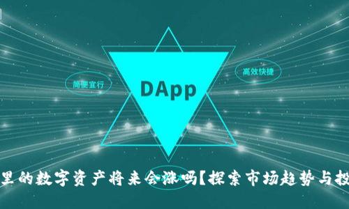 冷钱包里的数字资产将来会涨吗？探索市场趋势与投资策略