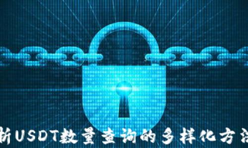 
深入解析USDT数量查询的多样化方法与工具