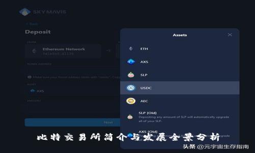 比特交易所简介与发展全景分析