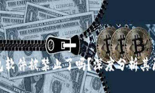 小狐狸钱包软件被禁止了吗？深度分析其原因与影响