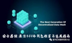 安全存储：最佳BSV冷钱包推荐与使用指南