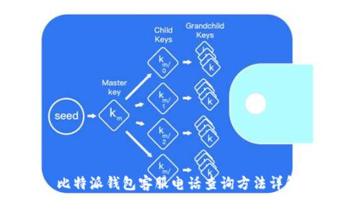 比特派钱包客服电话查询方法详解